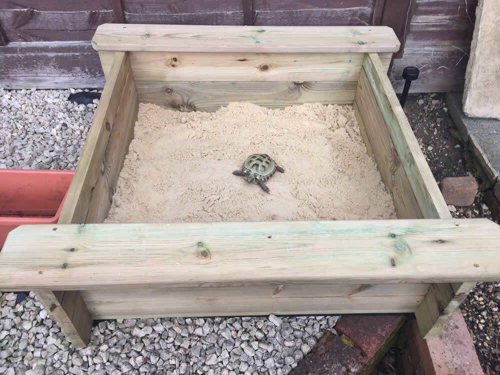 Image of Sandpit with Tortoise