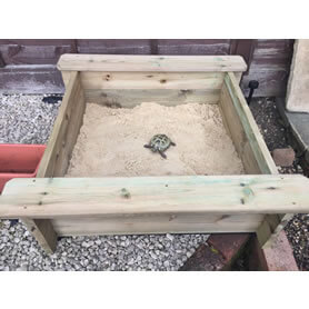 Thumbnail Image of Sandpit with Tortoise