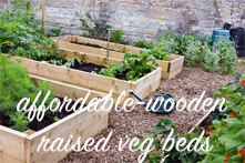 Affordable Wooden Raised Veg Beds for Compact Gardening