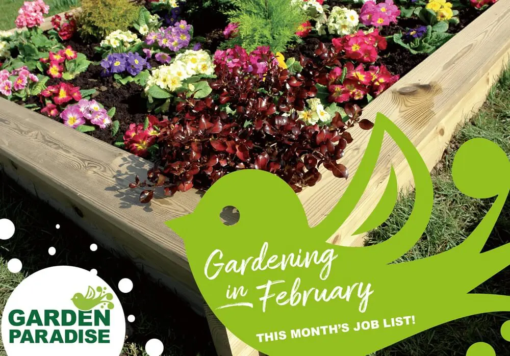Gardening in February