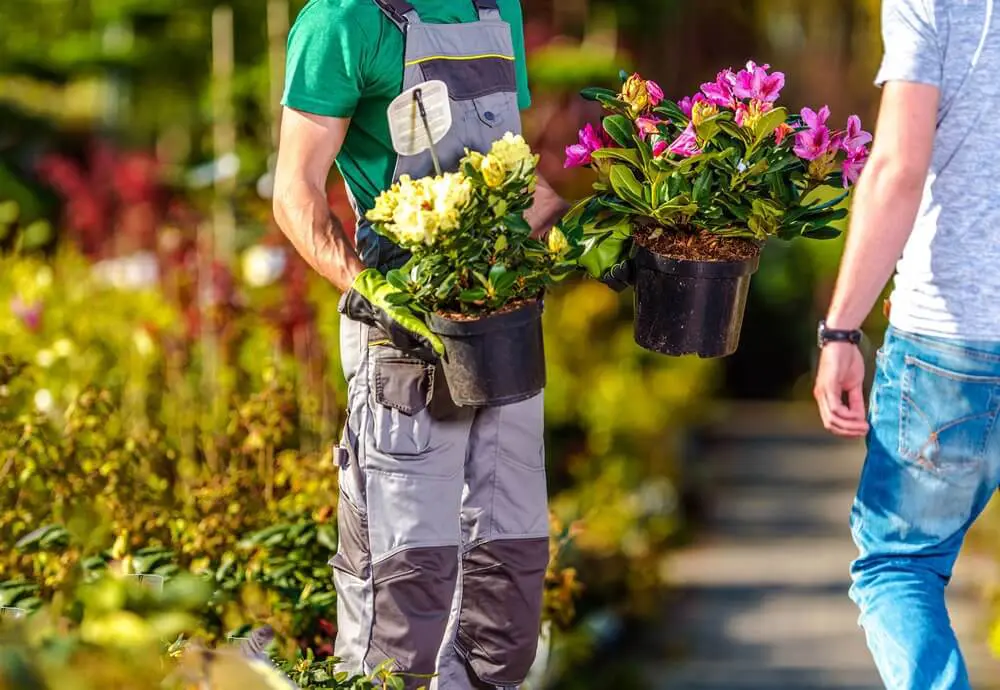 planting up your planter through the season