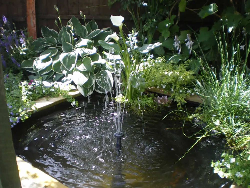 Wooden Pond with Lily Pad