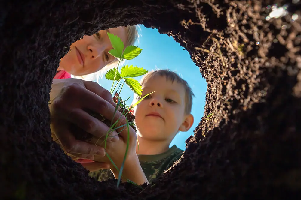 Encouraging children to grow plants from seeds