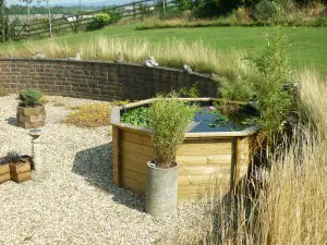 Free Standing Pond - Image 2