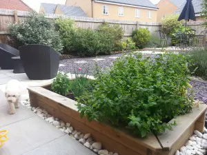 Herb Garden - image 1