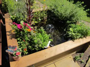 Pond and Raised Bed - Image 1