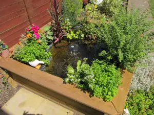 Pond and Raised Bed - Image 2