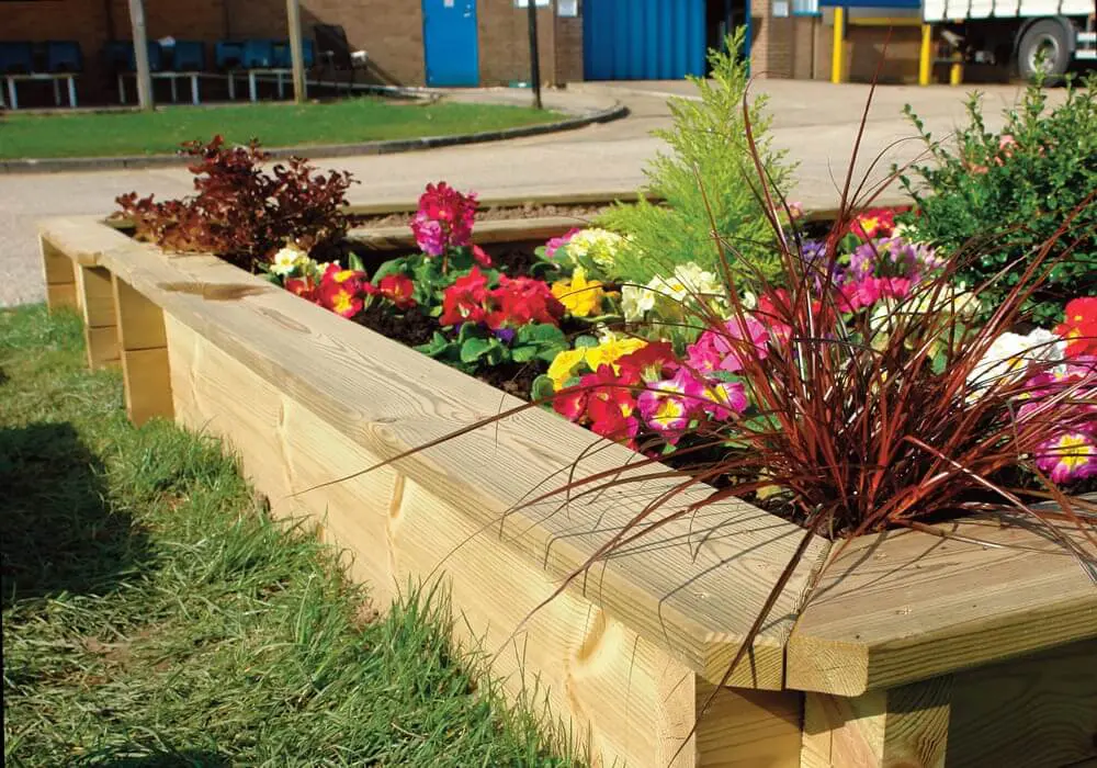 Urban Gardening in a Raised Bed