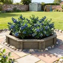 Raised Garden Bed – 6ft Octagonal – 295mm Height