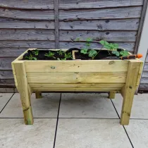 Raised Veg Trug / Planter