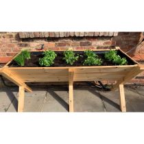 Trough Planter
