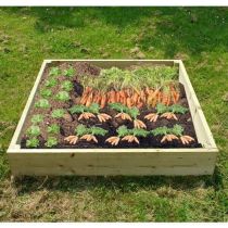 Wooden Raised Veg Beds Pack of 2 1m x 1m