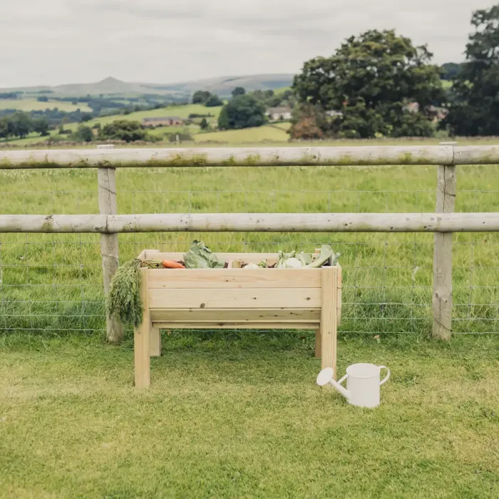 Raised Veg Trug / Planter - L100 x W52 x H60