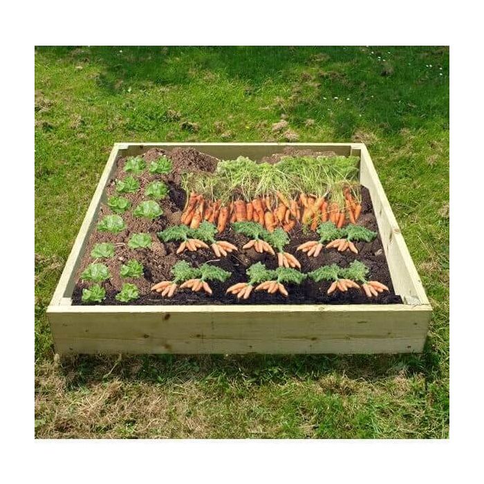 Wooden Raised Veg Beds Pack of 3 1m x 1m