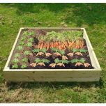 Wooden Raised Veg Beds Pack of 3 1m x 1m