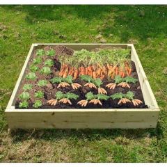 Wooden Raised Veg Beds Pack of 2 1m x 1m