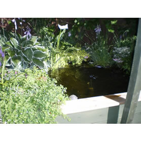 Thumbnail Image of Great Looking Pond