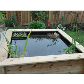 Thumbnail Image of Great Looking Pond